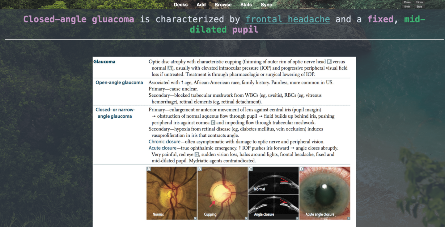 Anki for Dummies! How to Use Anki for Med School