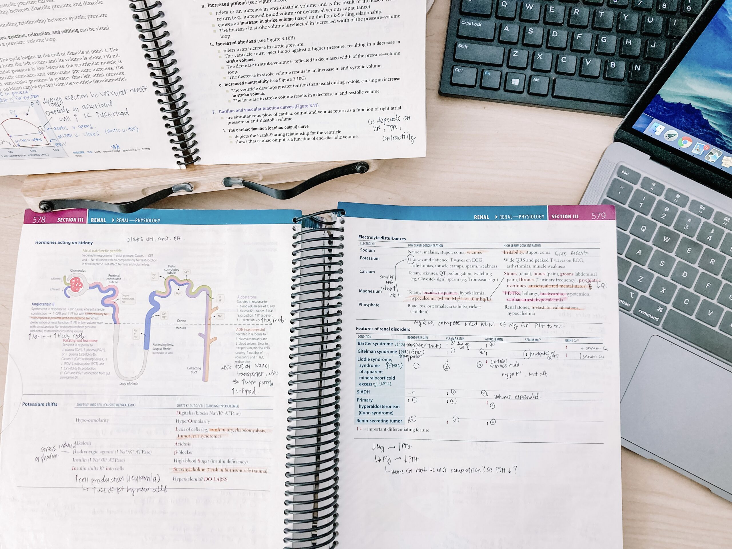 Cmas Practice Test: Transform Your Study Habits For Better Results - yt35sdr